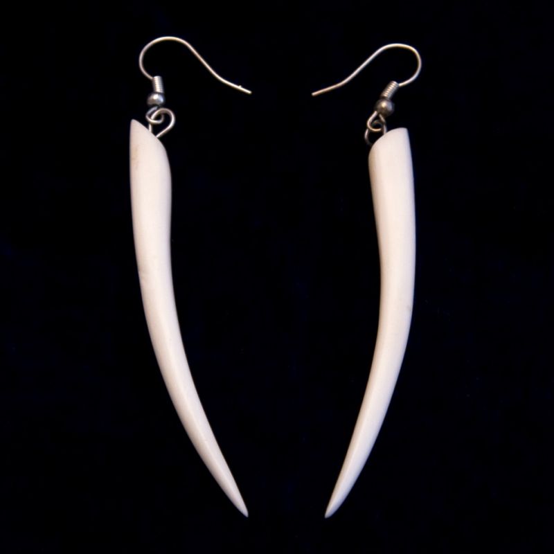 Bone earrings Tusks Indonesia