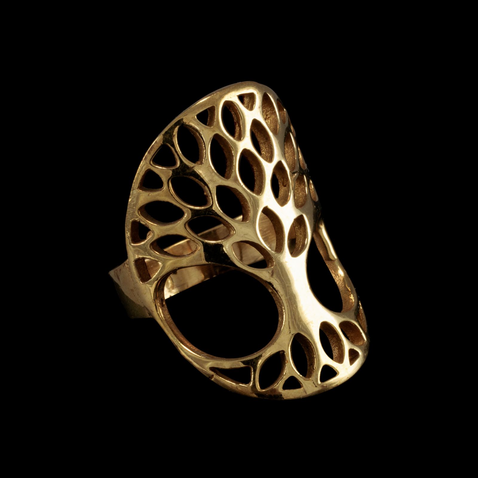 Brass ring Tree of Life 2 India
