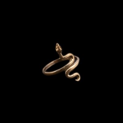 Brass ring Grass Snake | 660792