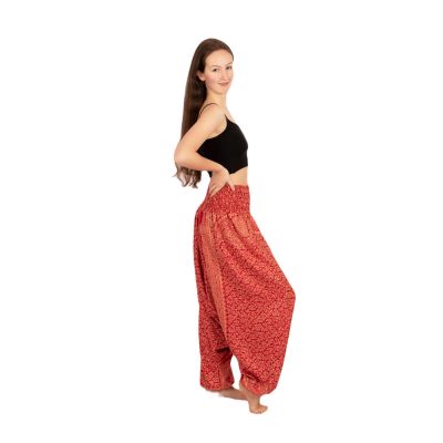 Warm acrylic turkish trousers Damini Red India