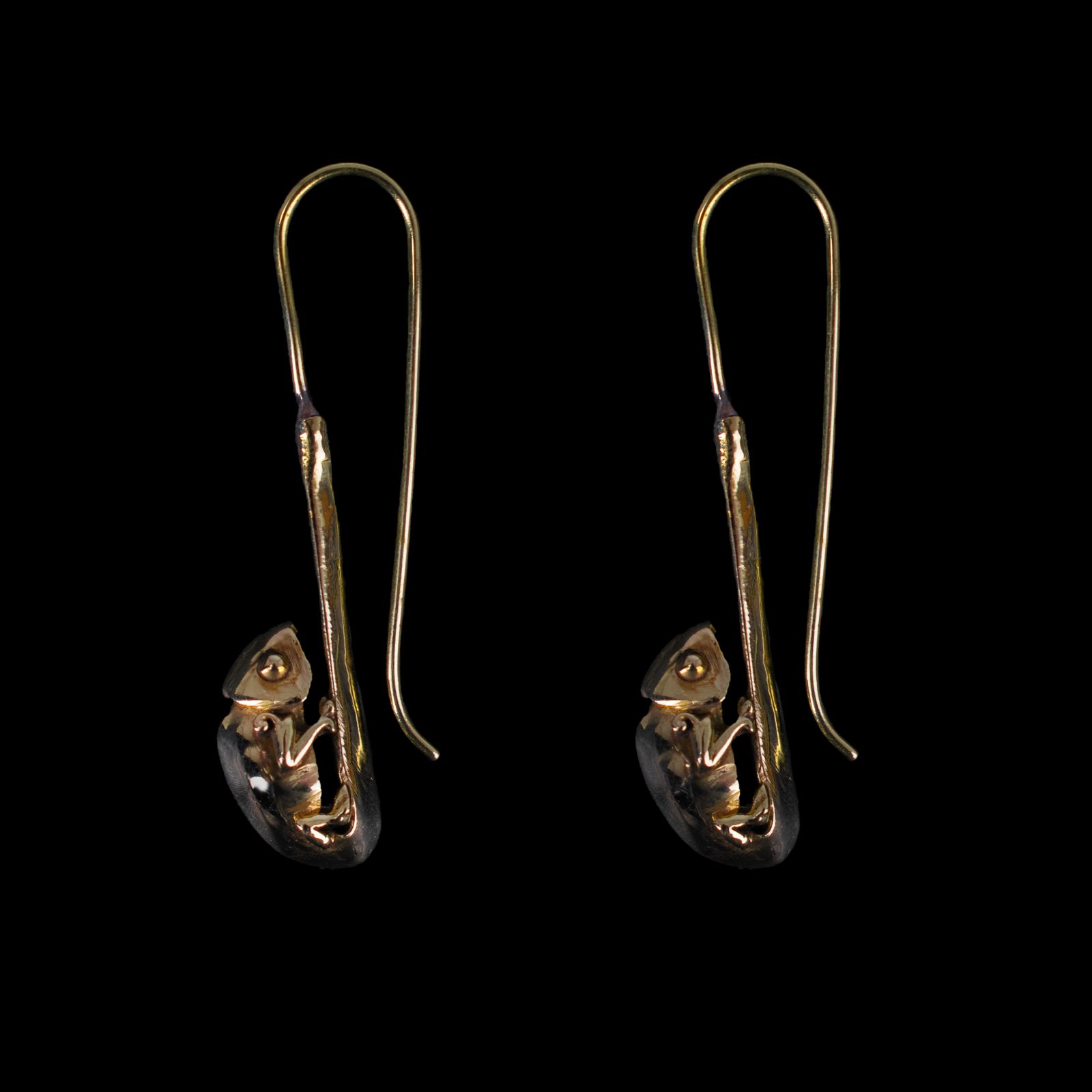 Brass earrings Chameleons 1 India