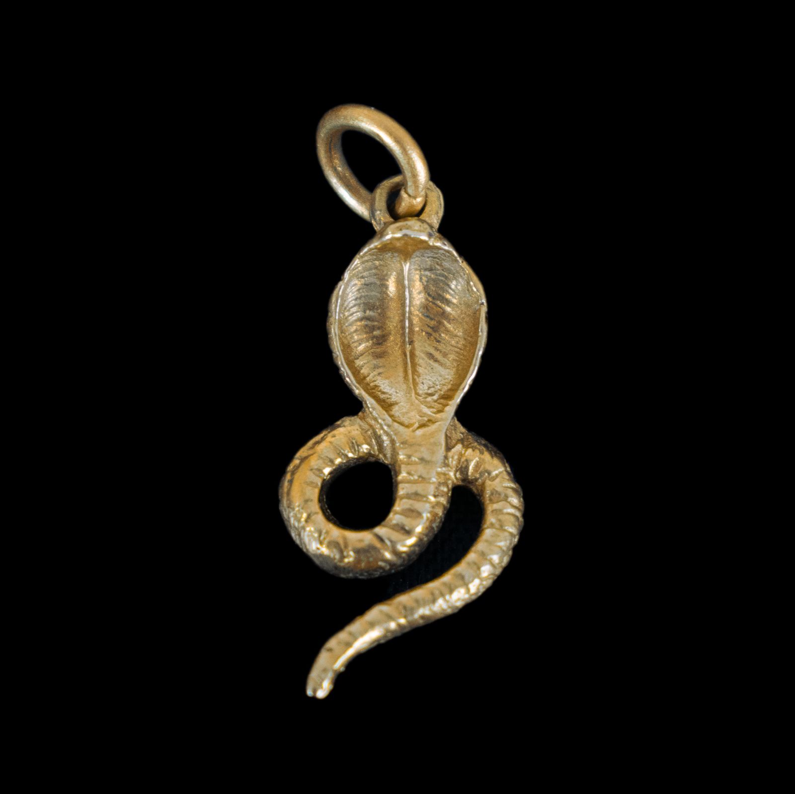 Brass pendant Cobra India