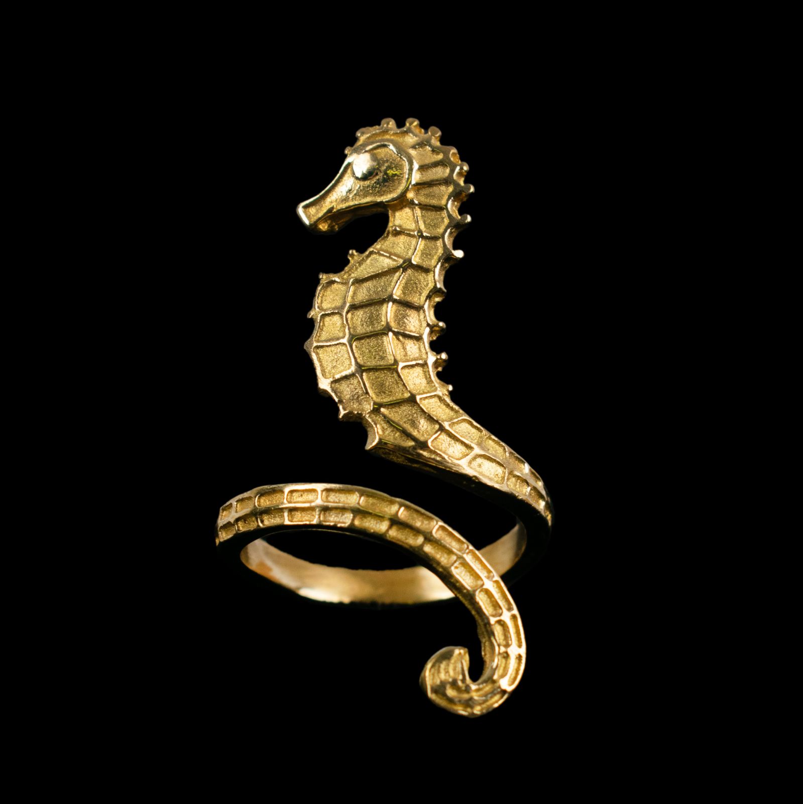 Brass ring Seahorse 1 India